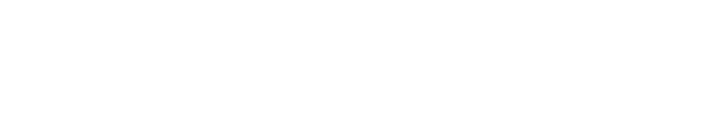 NNEC Logo (1)