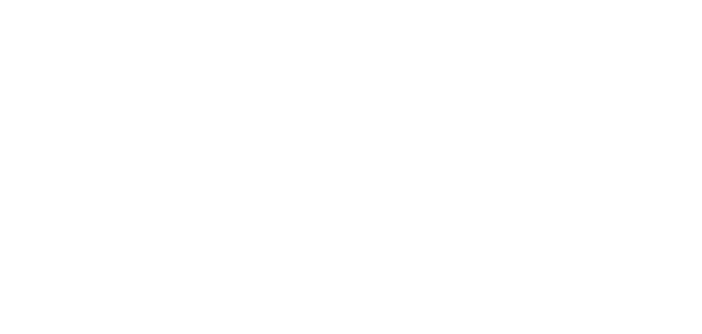 Princeton Logo